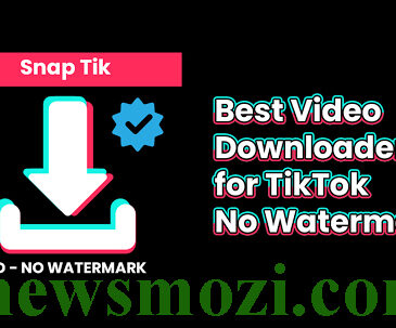 snaptik instagram video downloader newsmozi com