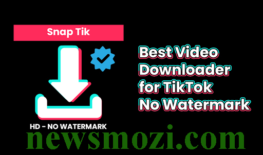snaptik instagram video downloader newsmozi com
