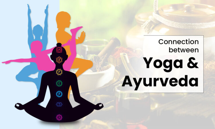 Connection-between-Yoga-and-Ayurveda